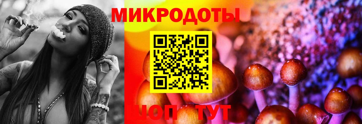 Псилоцибиновые грибы GOLDEN TEACHER  Галлюциногенные грибы прущие грибы  Вход с VPN  Асбест 